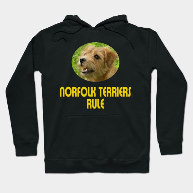 Norfolk Terriers Rule! Hoodie by Naves